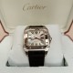 CARTIER Santos 100 Medium Model Automatic W20106X8